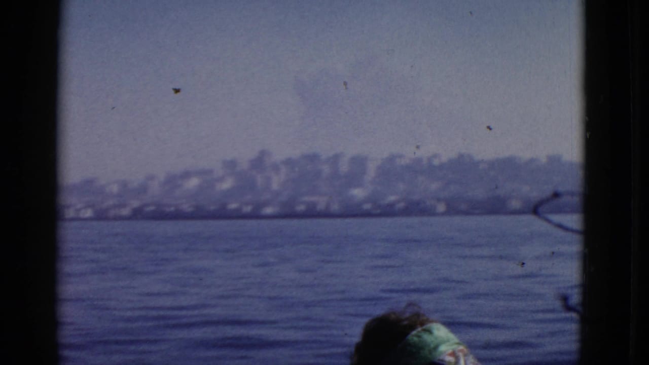 Distant waterfront skyline over blue water with dark frame edges and a partial head at bottom.