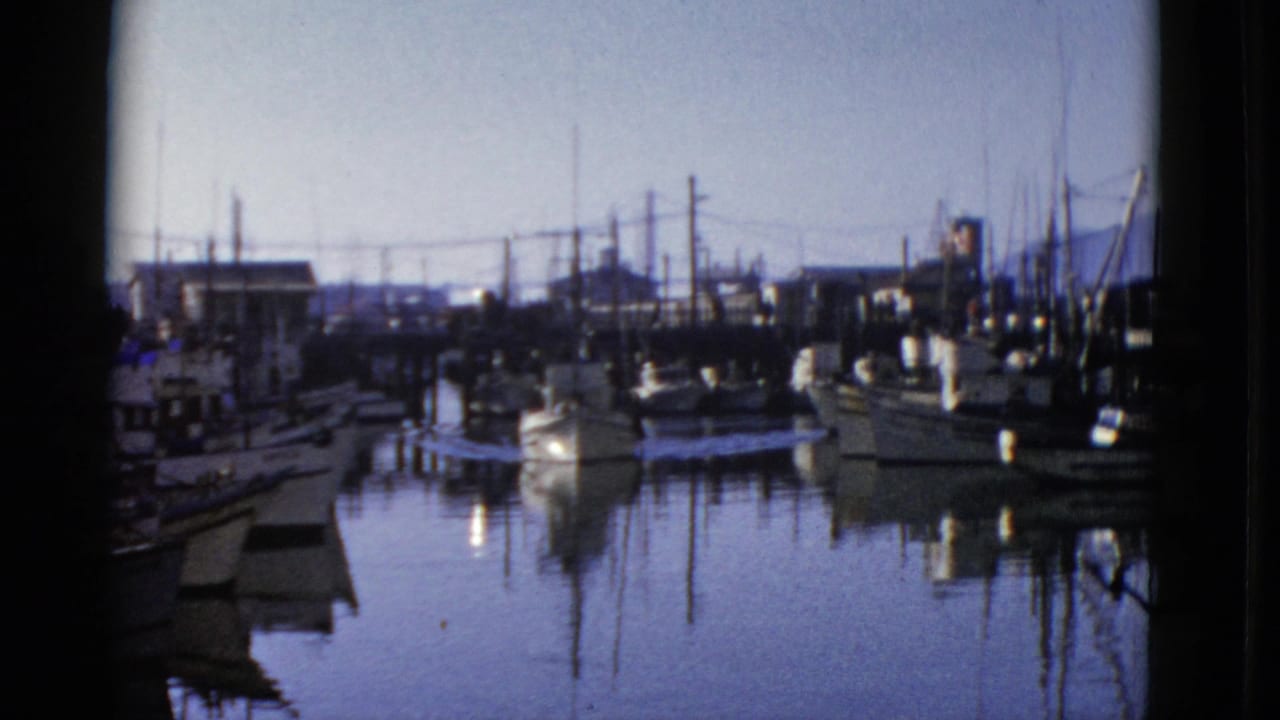 Moored boats line a marina channel under a pale sky.