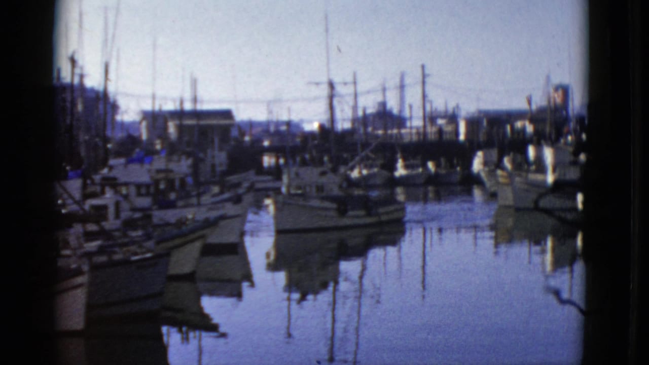 Small harbor boats clustered near docks with reflections on the water.