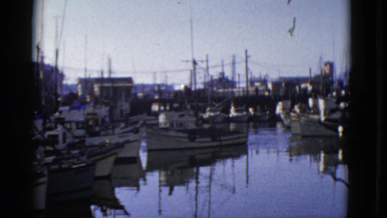 1952 San Francisco marina view with small fishing boats, piers, masts, and reflections on calm water.
