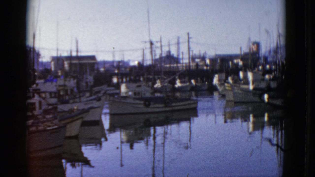 Marina basin with docked boats, piers, mast lines, and still water.