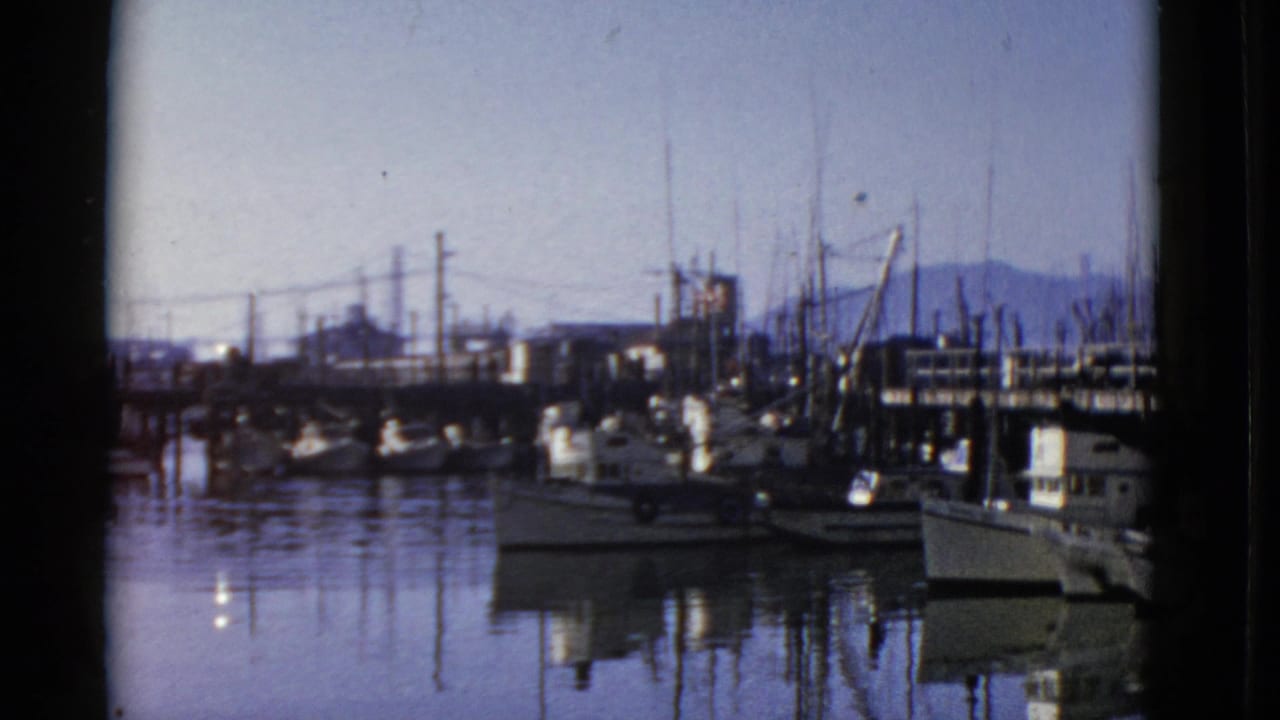 Docked sailboats and small vessels reflected in still harbor water.