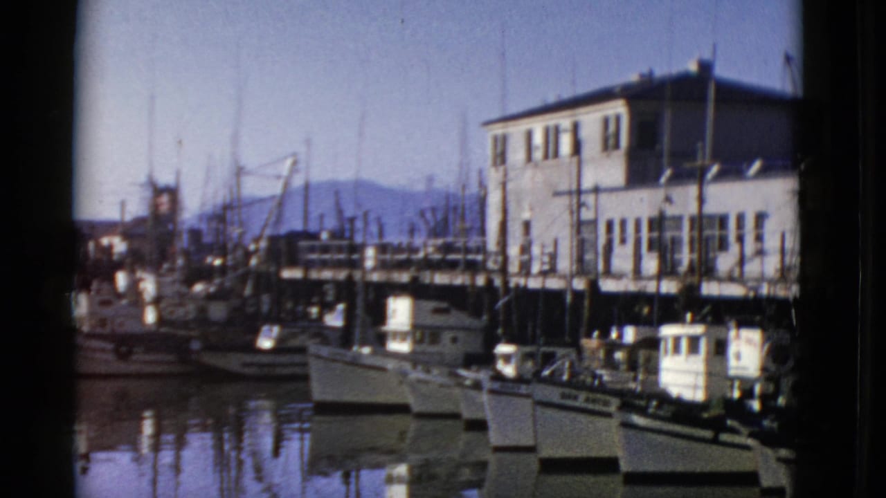 Harbor boats and dock structures with a two-story building beside the water.