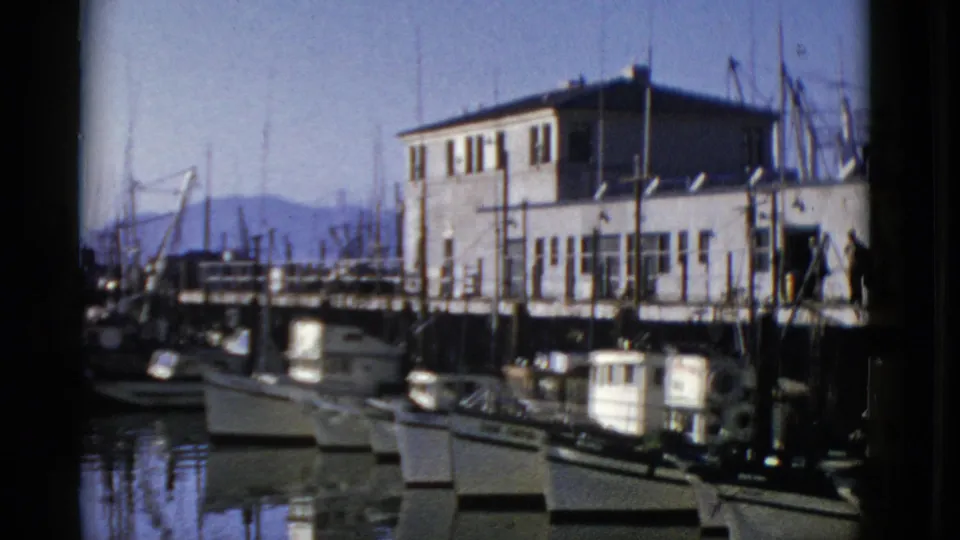 1952 San Francisco dock scene with small fishing boats, a pier building, clustered masts, and calm reflected water.