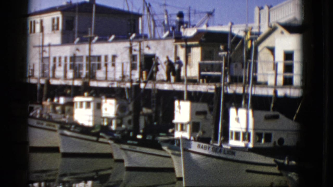 Moored fishing boats line the waterfront beneath a long pier structure.