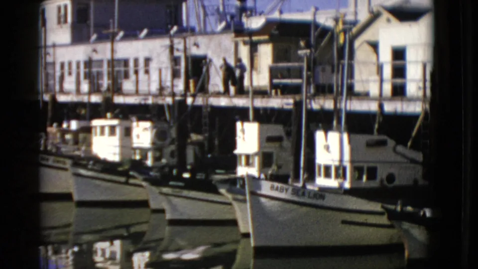 A fishing boat marked BABY SEA LION is visible beside other vessels at the 1952 San Francisco waterfront pier.