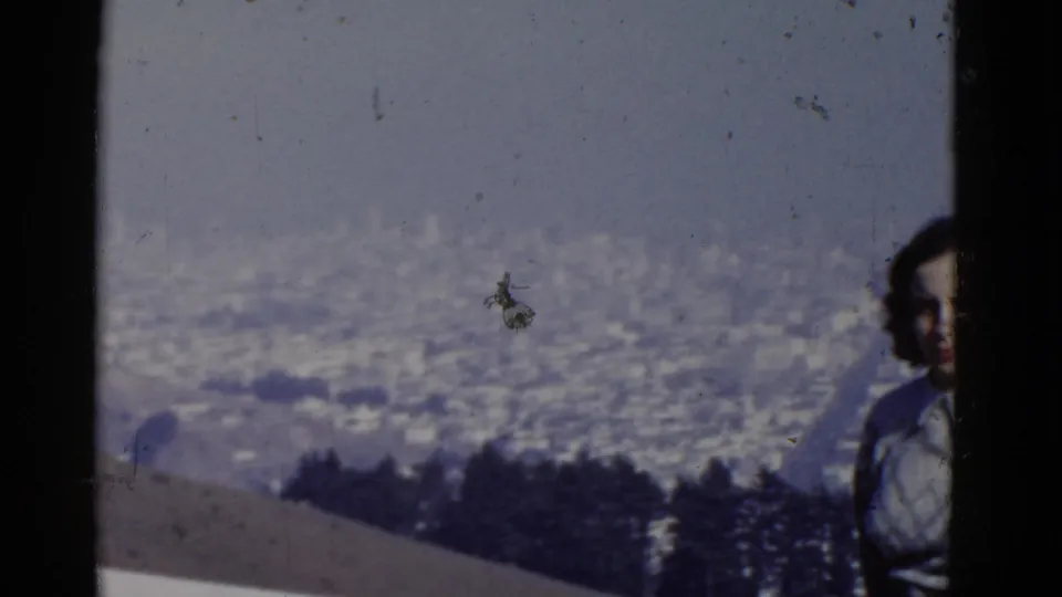 1952 San Francisco home-movie frame with a woman partly cut off at the edge, city vista behind her, and dark trees below.