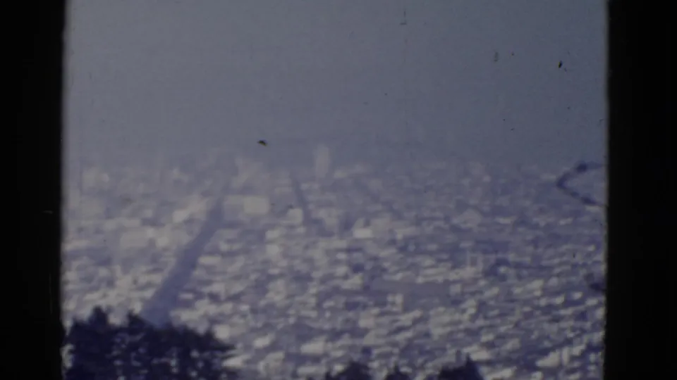 Elevated 1952 San Francisco panorama with dense buildings, foreground tree silhouettes, and visible 8mm grain and scratches.