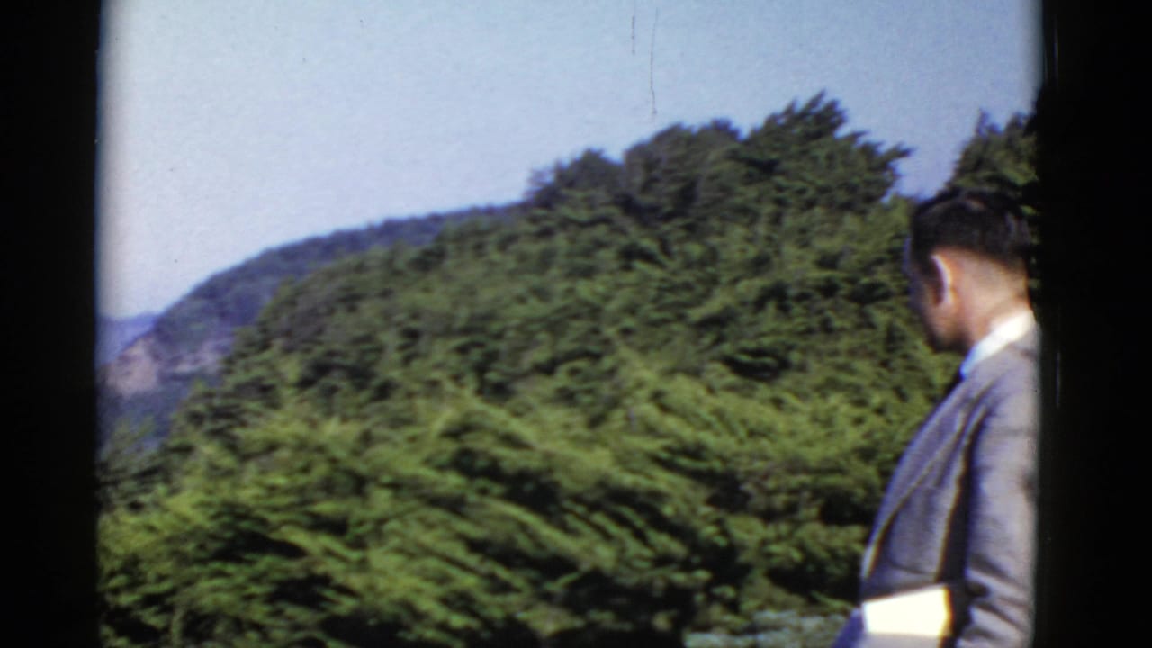 In 1952 San Francisco Bay footage, a suited adult man stands at a hillside overlook with trees, water, and distant landforms beyond.