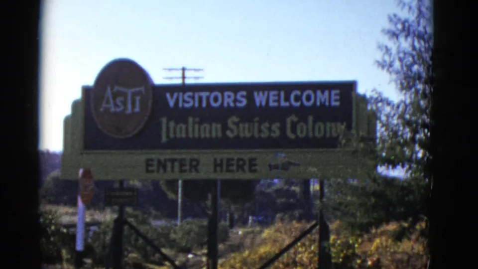 1952 8mm frame of a roadside Italian Swiss Colony welcome sign, with an enter here arrow and surrounding vegetation.