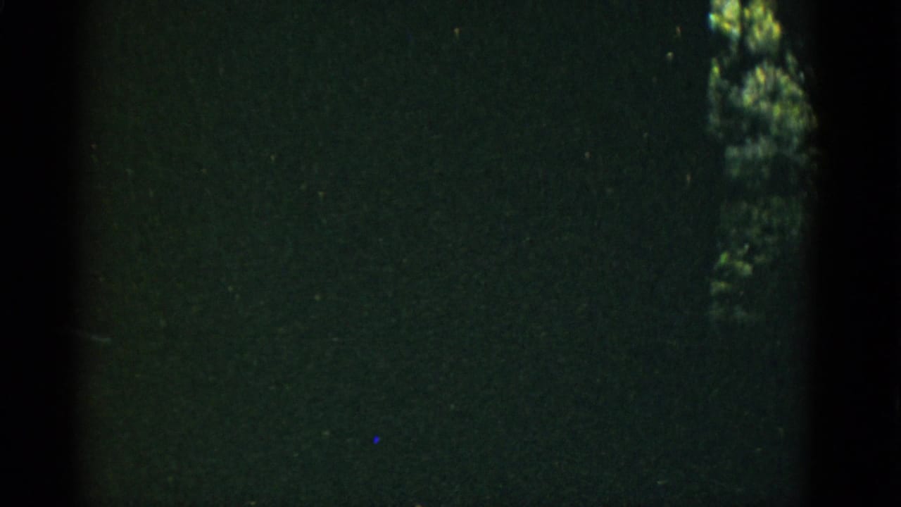 Underexposed 8mm frame after the sign passes, with dark green film texture, gate edge, and faint tree shapes at right.