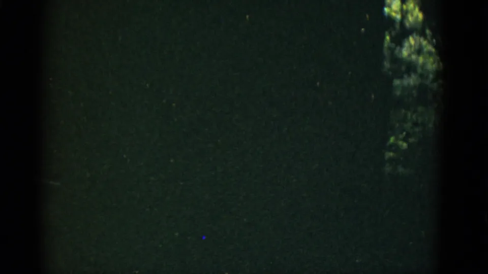 Underexposed 8mm frame after the sign passes, with dark green film texture, gate edge, and faint tree shapes at right.