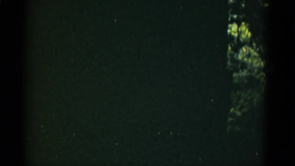 Underexposed 1952 8mm frame with dark film texture, vertical gate edge, specks, and small bright tree shapes at the side.