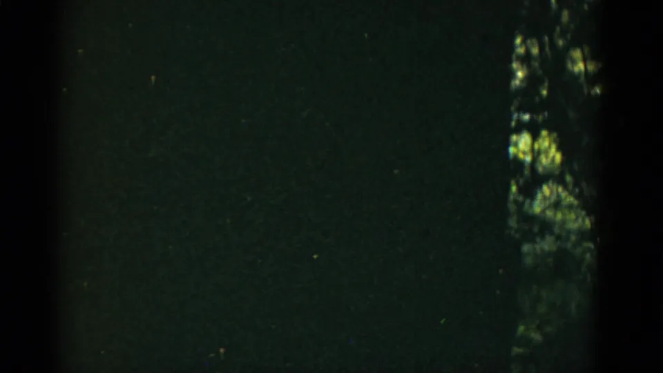 Final 8mm frame is mostly dark and green-toned, with visible grain, scratches, and a narrow strip of roadside foliage at right.