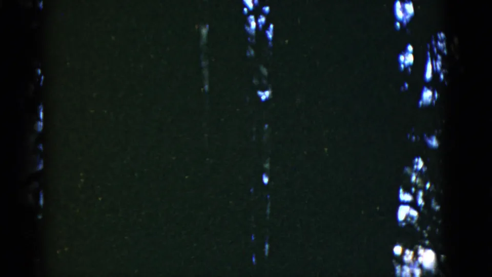 Low-light 8mm frame showing dark tree forms and blue-white highlights on the right, within the supplied 1952 San Francisco clip.