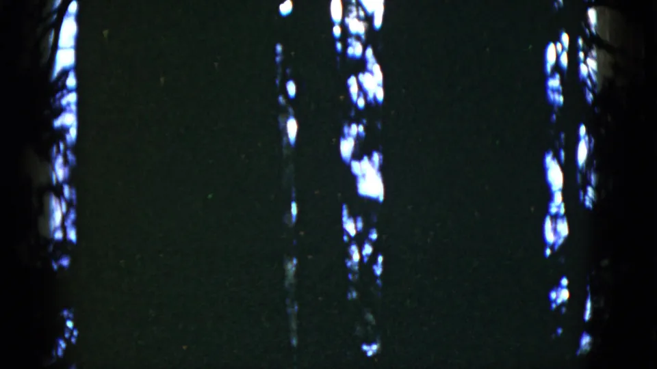 Grainy 1952 home-movie frame showing dark wooded silhouettes and pale light streaks in the San Francisco-labeled clip.