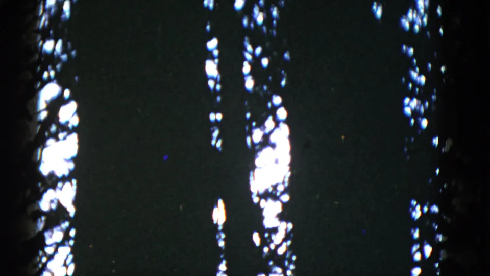 1952 San Francisco 8mm frame showing vertical tree silhouettes and scattered highlights in foliage.