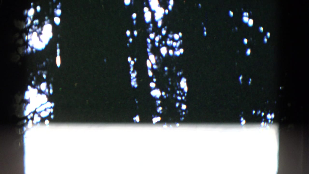 Dark trees with a bright overexposed band across the lower frame.