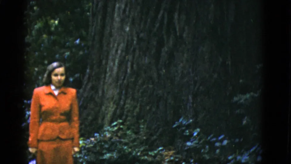 The woman in a red suit appears to walk past a massive tree in the wooded San Francisco-area 8mm scene.