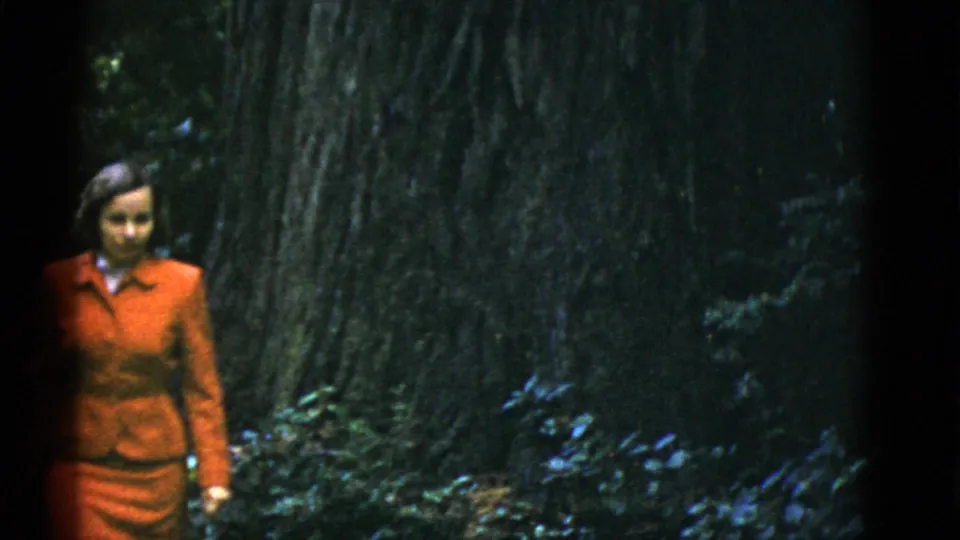 A closer 1952 8mm view shows the woman in a red suit near the dark bark of a large tree in a shaded forest.