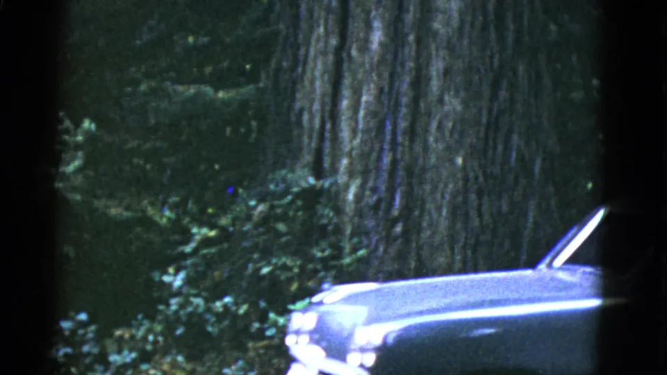 The front section of a light-colored car moves across a redwood grove view in 1950s home-movie footage.