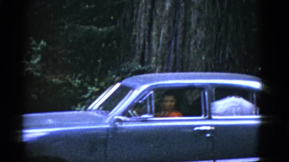 A light-colored mid-century car passes a redwood trunk, with a driver in a red top visible through the window.