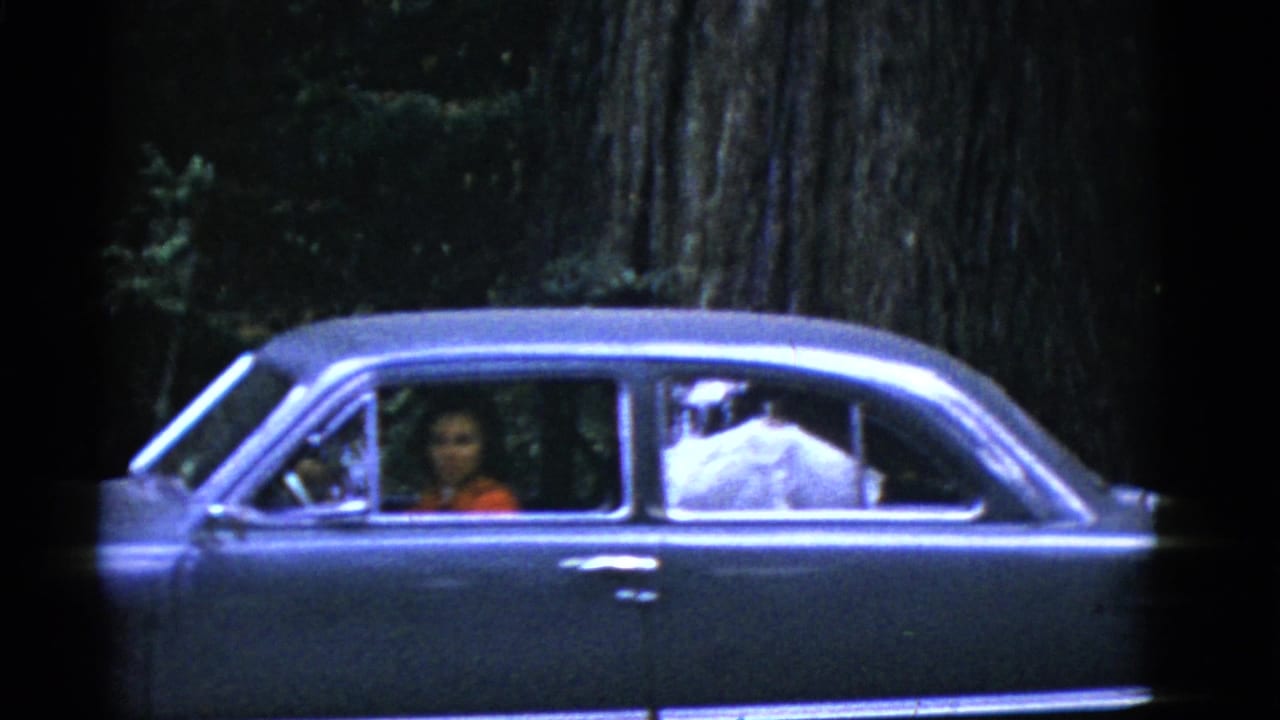 In this 1950s home-movie frame, a woman in a red top is seen through the window of a dark sedan in a wooded California setting.