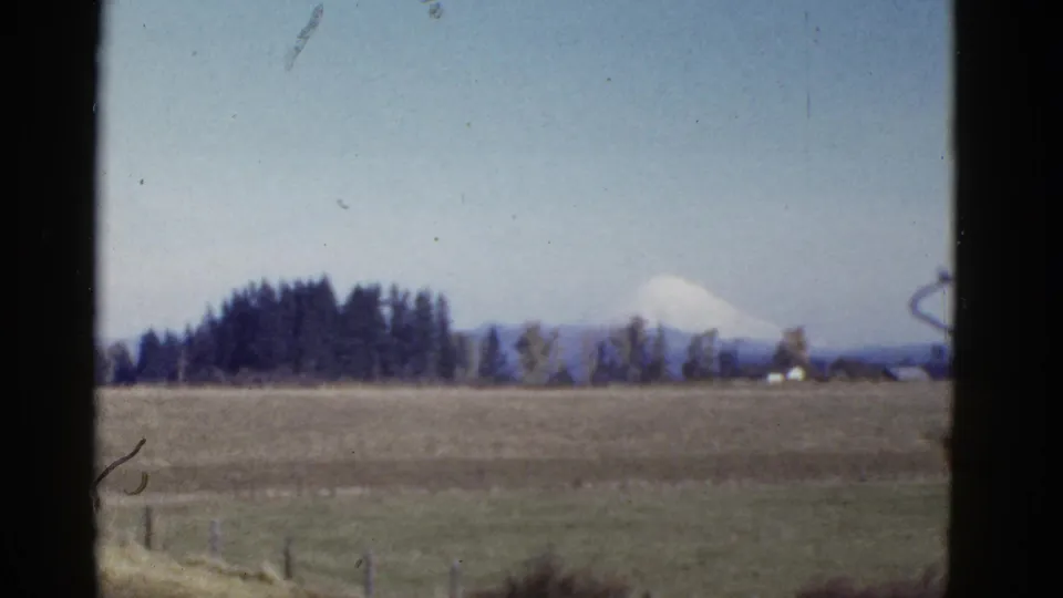 A soft 8mm view of open rural land, evergreen trees, and a distant snow-capped mountain under a pale sky.