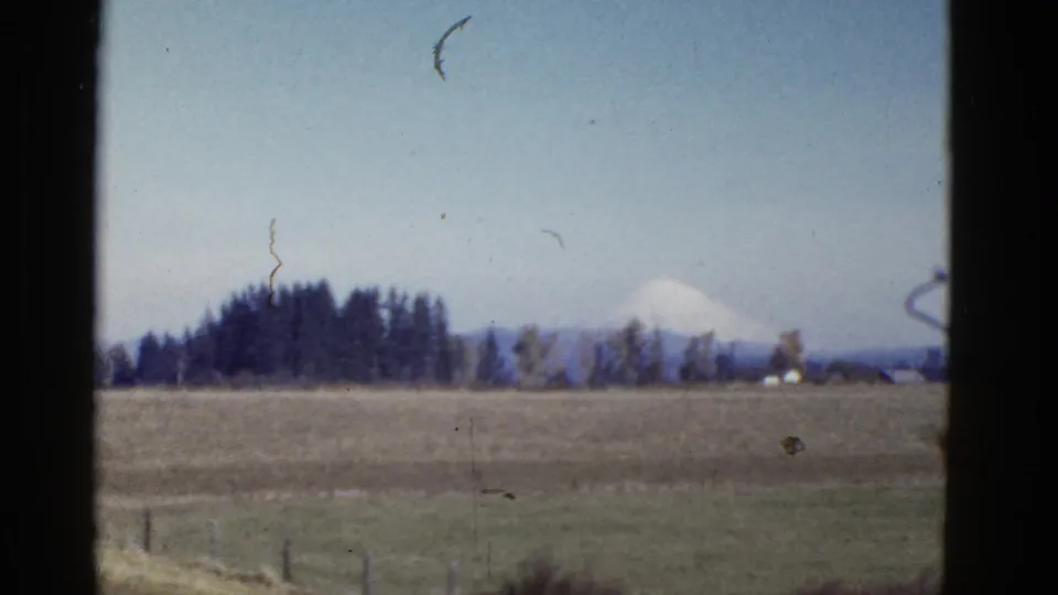 1950s 8mm footage frames a rural field, low fence posts, evergreens, and a distant snow-covered mountain.