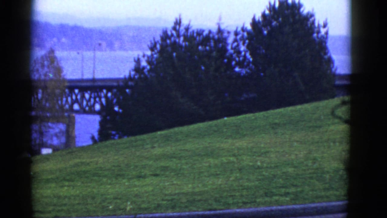 Grassy hillside and trees partly obscure an arched bridge over water.