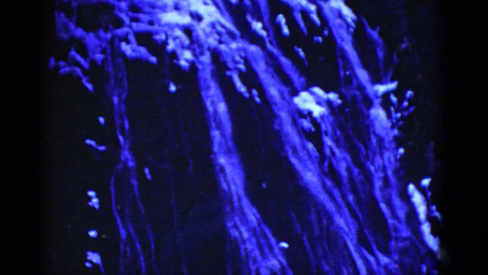 1952 San Francisco 8mm frame showing the lower portion of an illuminated waterfall in heavy shadow.