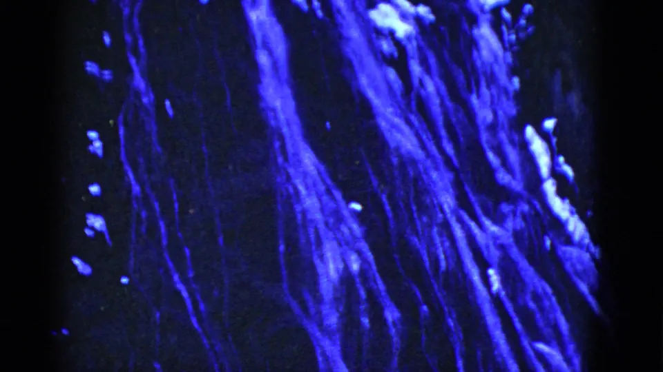 1952 San Francisco home-movie frame of blue-lit water streaking down rock, with dark surroundings and bright spray accents.