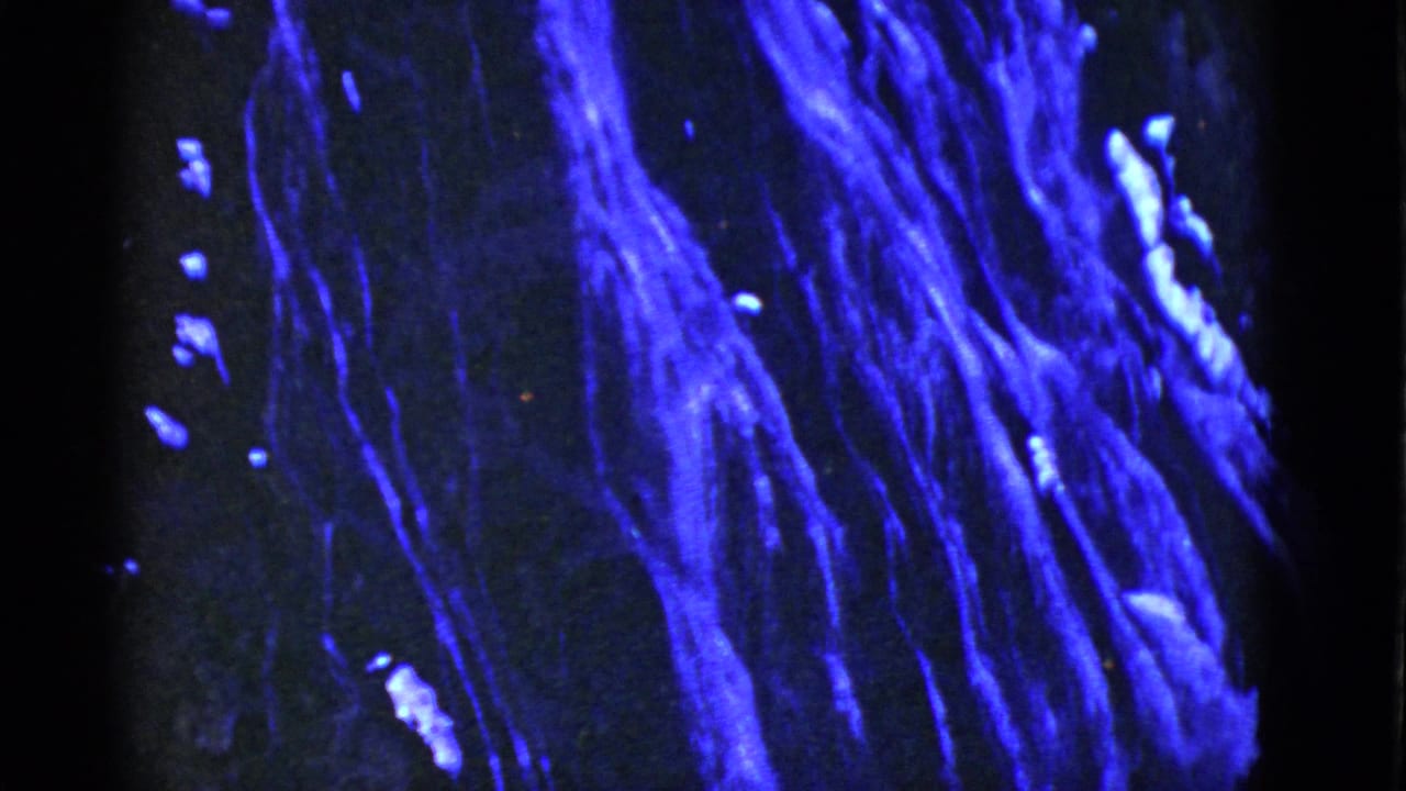 1950s 8mm frame from San Francisco metadata showing abstract blue vertical streaks on a black field.