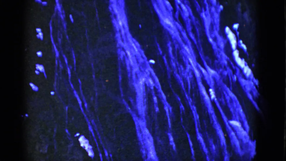 1950s 8mm frame from San Francisco metadata showing abstract blue vertical streaks on a black field.