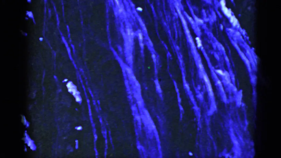 Abstract blue bands and bright flecks appear in a dark 8mm frame, with no identifiable people or place visible.