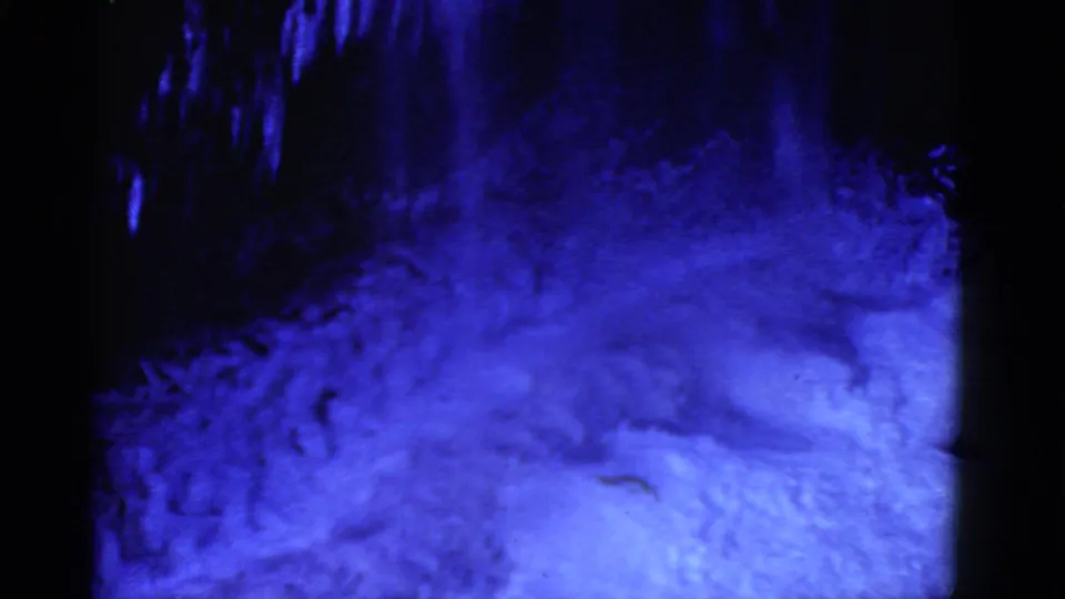 Blue-shifted 8mm frame showing snow-covered ground and dark vertical outdoor forms, likely trees or a shaded cliff edge.
