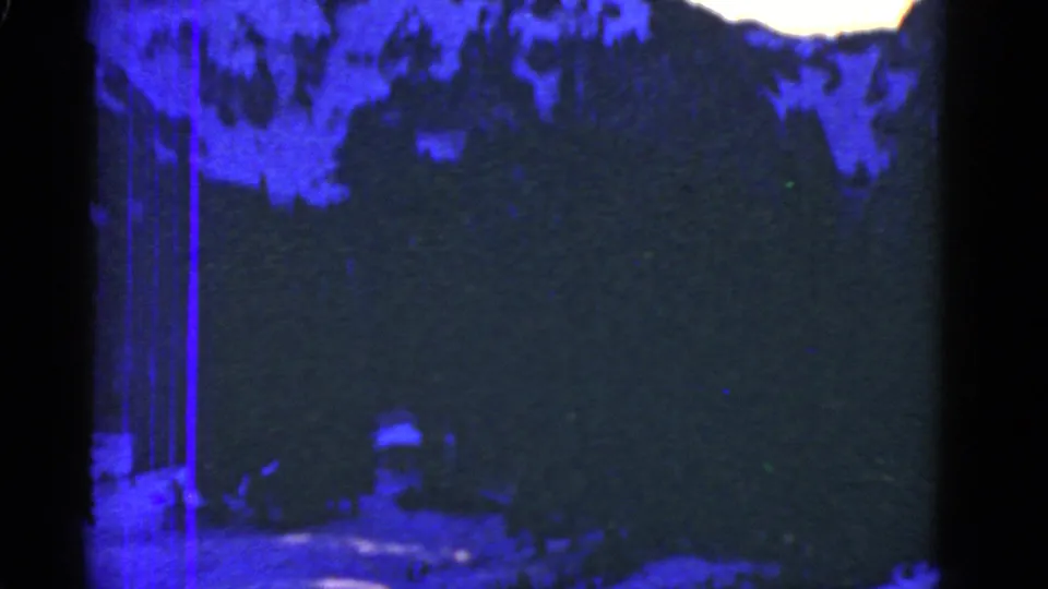 Blue-tinted 8mm mountain view with evergreen forest in the foreground and snow-covered slopes behind.
