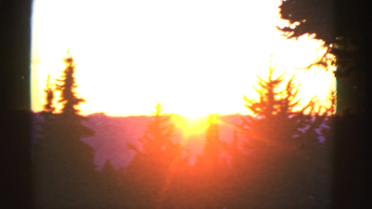 Low sun flares over a distant mountain ridge between tree silhouettes.