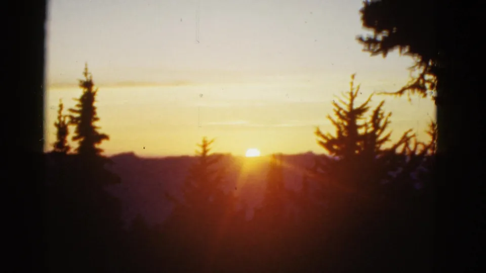 Golden sunset or sunrise view over a dark mountain horizon, with evergreen silhouettes and visible 8mm film texture.