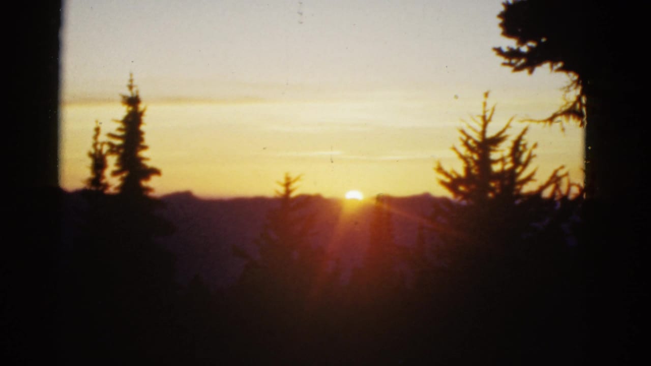 Color 8mm view of the sun dipping toward distant ridges, framed by dark evergreen branches and a warm yellow-orange sky.