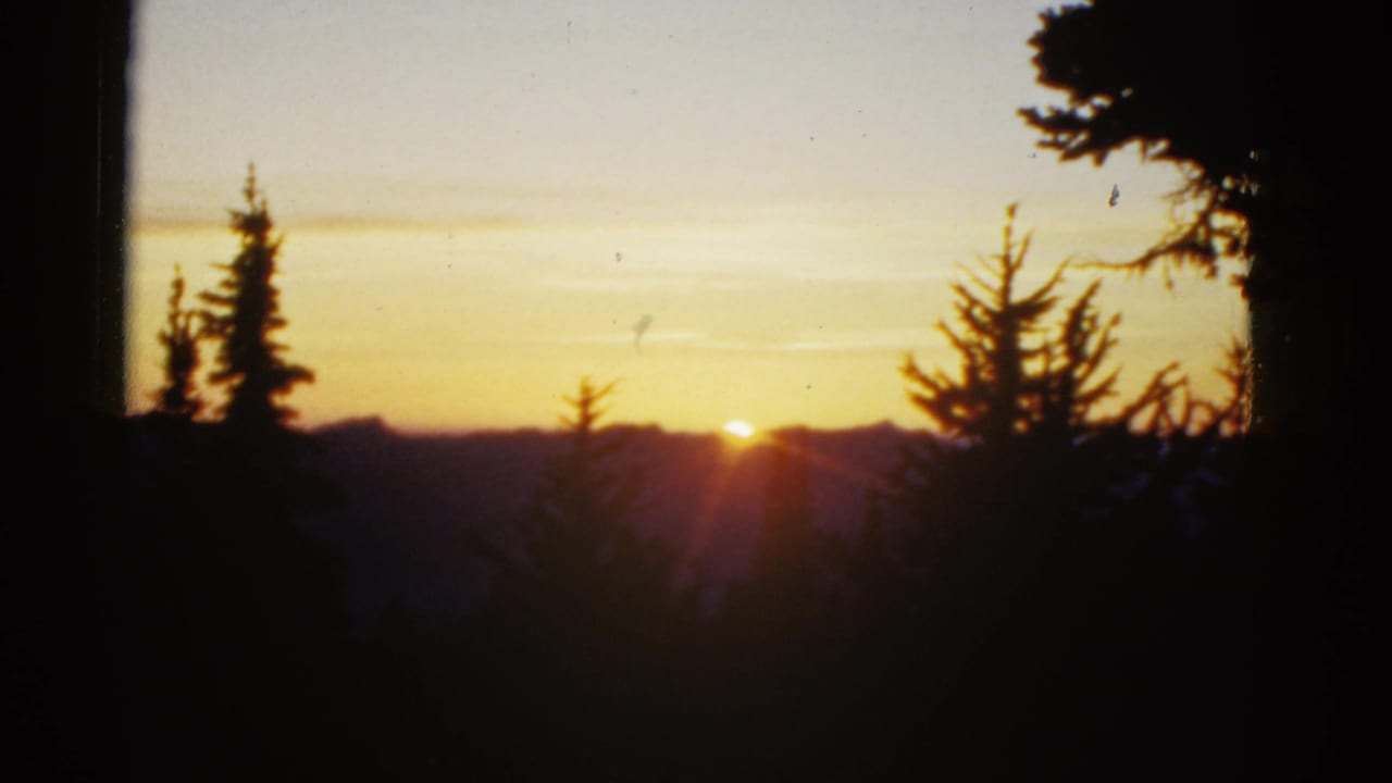 1950s 8mm-style view of the sun rising over distant mountains, framed by dark evergreen silhouettes and a pale sky.