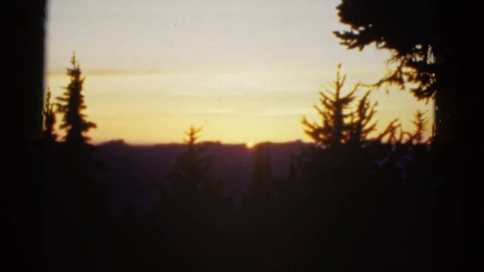 Archival 8mm frame of a golden sunrise over distant mountains, with dark trees forming a natural frame in the foreground.