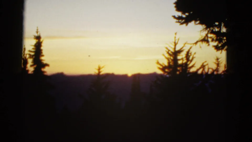 1950s 8mm home-movie view of dark trees and mountain ridges beneath a warm dusk sky.