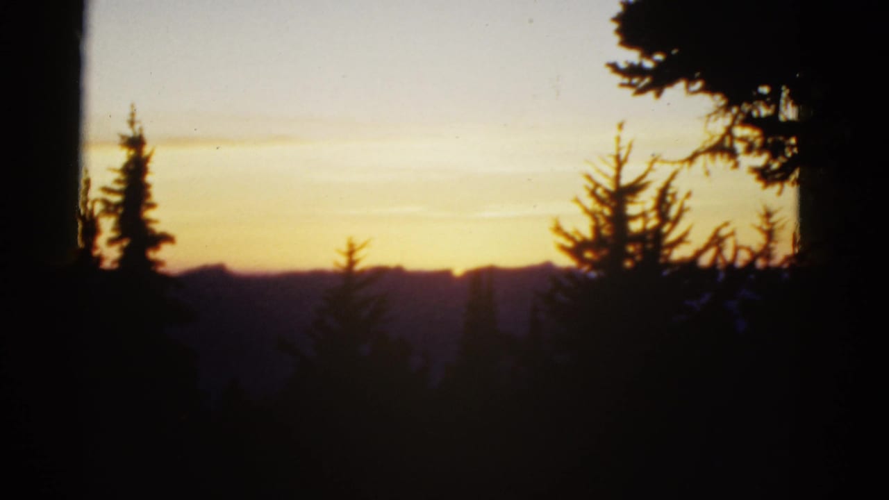 Pine silhouettes and distant mountain ridges against a yellow sunset sky.