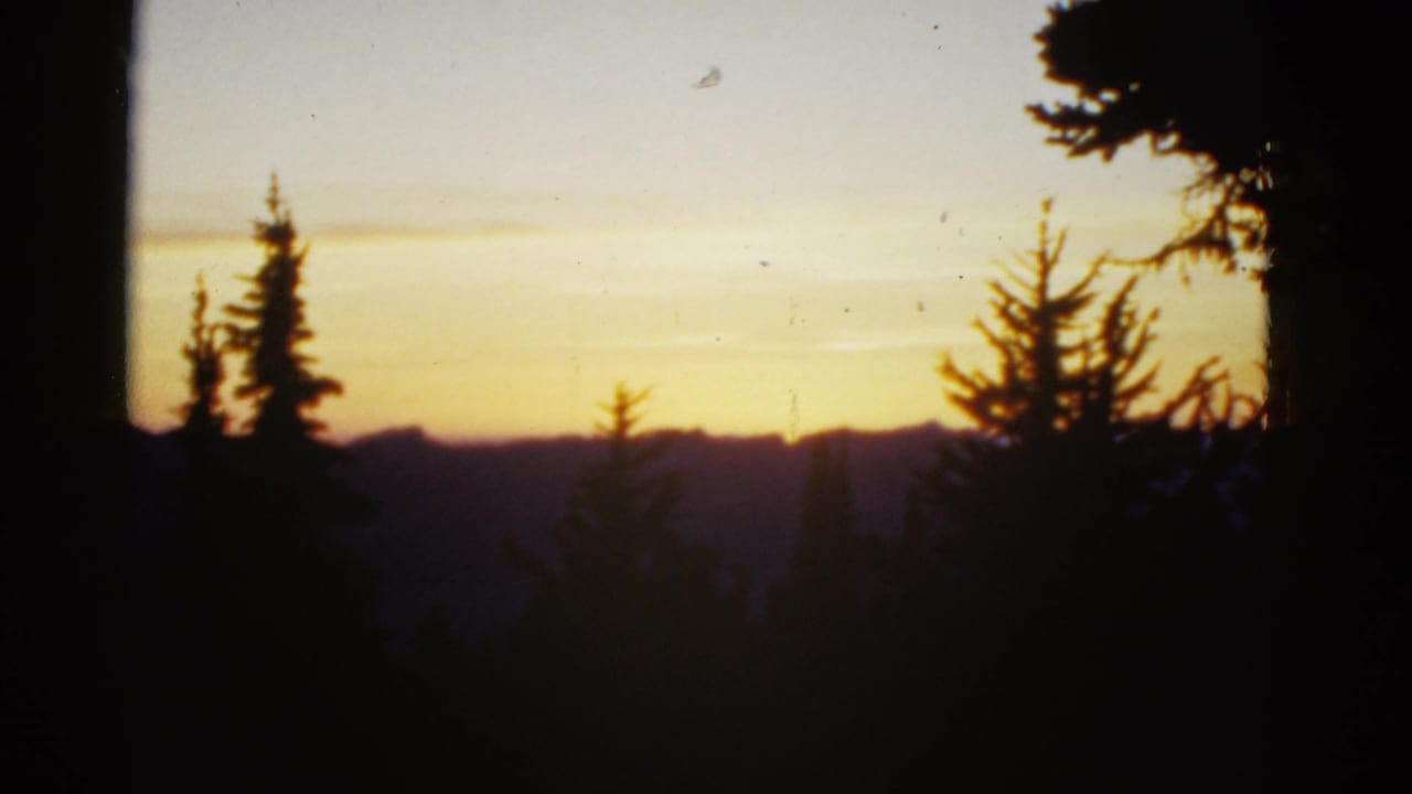 Early-1950s 8mm frame with a central dark tree trunk, pine outlines, and low mountain ridges at dusk.