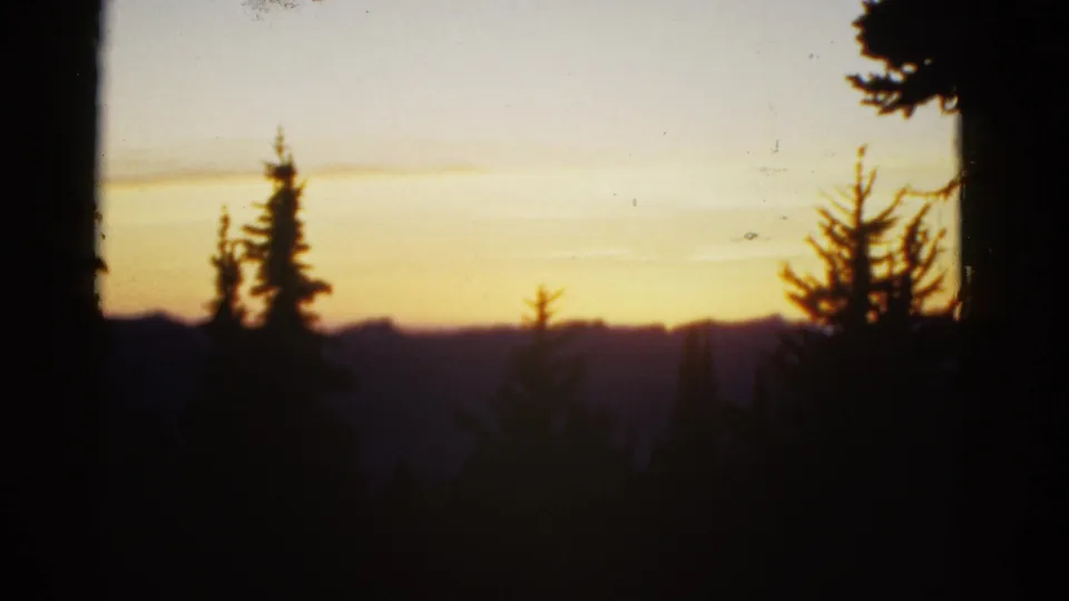 Early-1950s 8mm home-movie view of silhouetted pines and dark hills under a fading yellow sky.