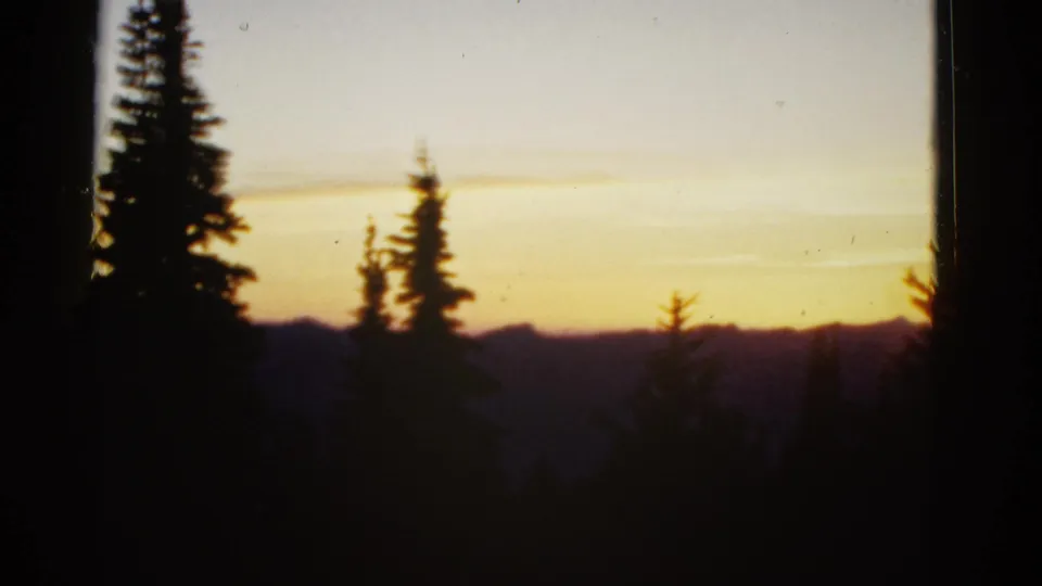 1950s 8mm home-movie frame showing dark evergreen trees before a golden sunset and shadowed mountain horizon.