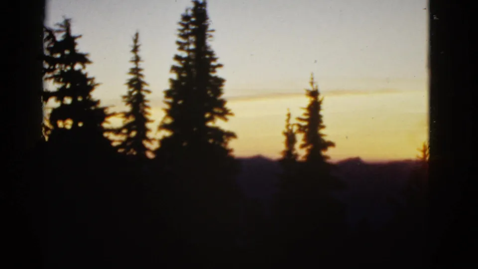 1950s 8mm home-movie view of clustered evergreen silhouettes and a yellow dusk glow above distant hills.