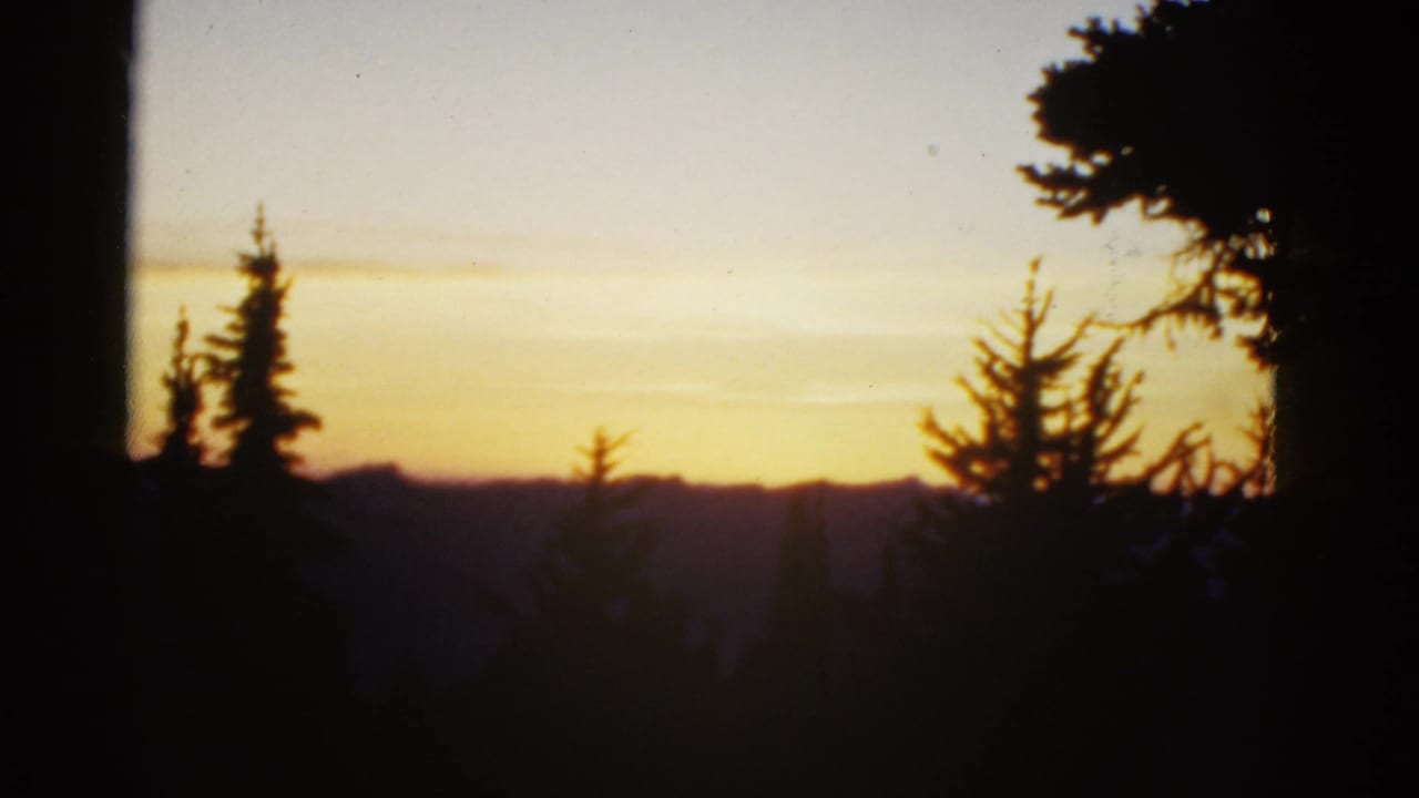 Early-1950s 8mm frame showing a golden horizon, silhouetted evergreens, and a dark tree trunk near the center.