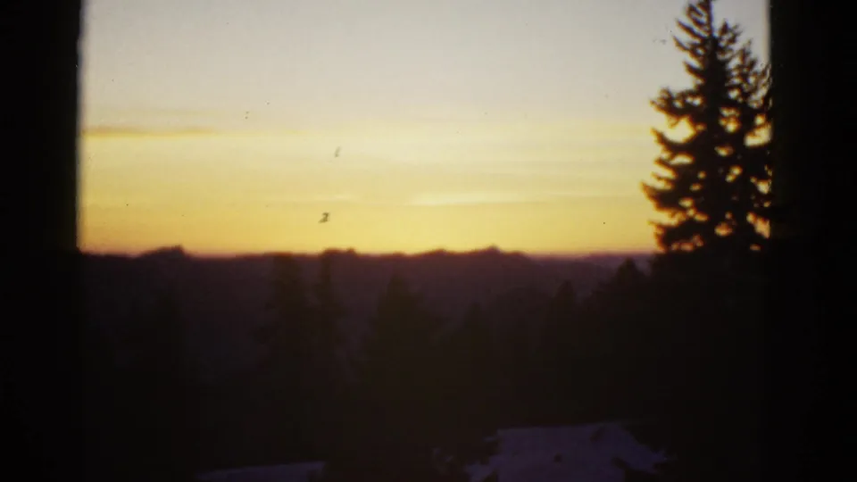 Early-1950s 8mm frame of distant hills beneath a yellow-orange sky, bordered by dark tree silhouettes.